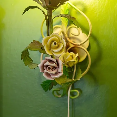 Madam Отель типа 