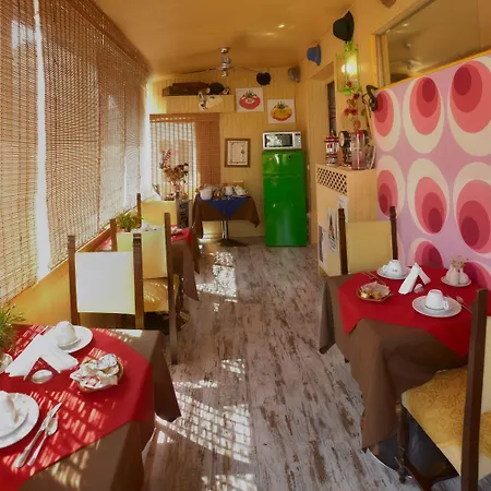 Madam Тревизо